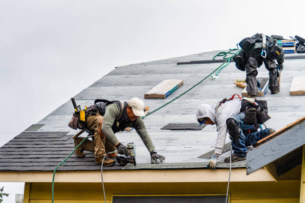 Professional Gutter Installation technician working in Friesland, WI